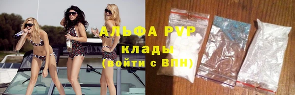 первитин Богданович