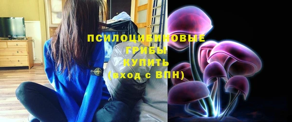 соль курить ск Богородск