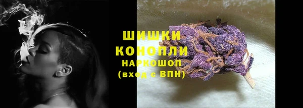 стаф Беломорск