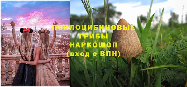 хмурый Белоозёрский