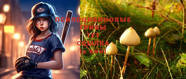 первитин Богданович