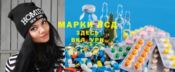 стаф Беломорск