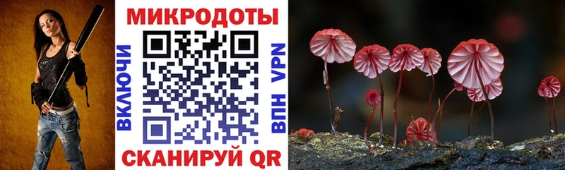 Галлюциногенные грибы GOLDEN TEACHER  цена наркотик  Бузулук 