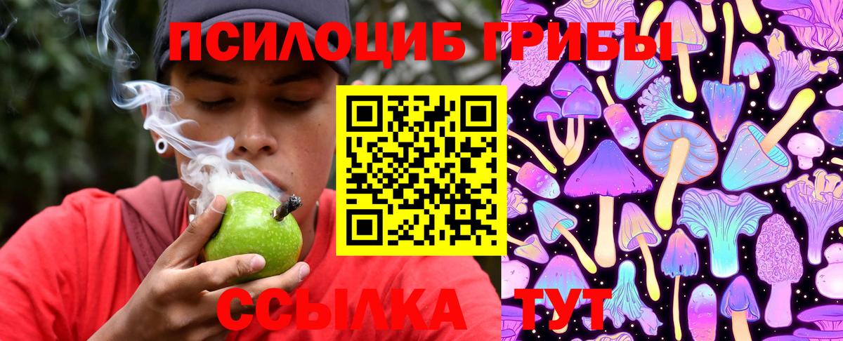 Галлюциногенные грибы прущие грибы Бузулук