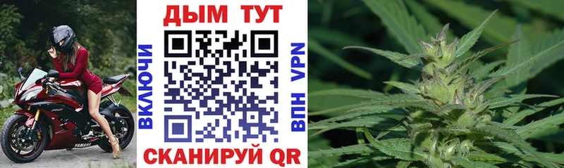 закладка  Бузулук  Канабис планчик 